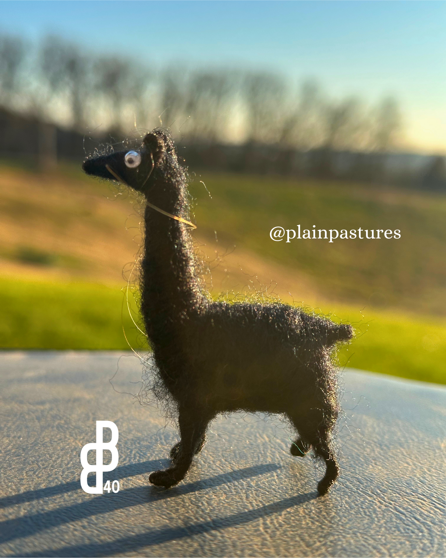 Little Llama