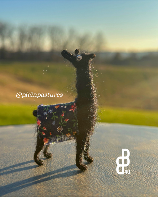 Little Llama w/ Blanket