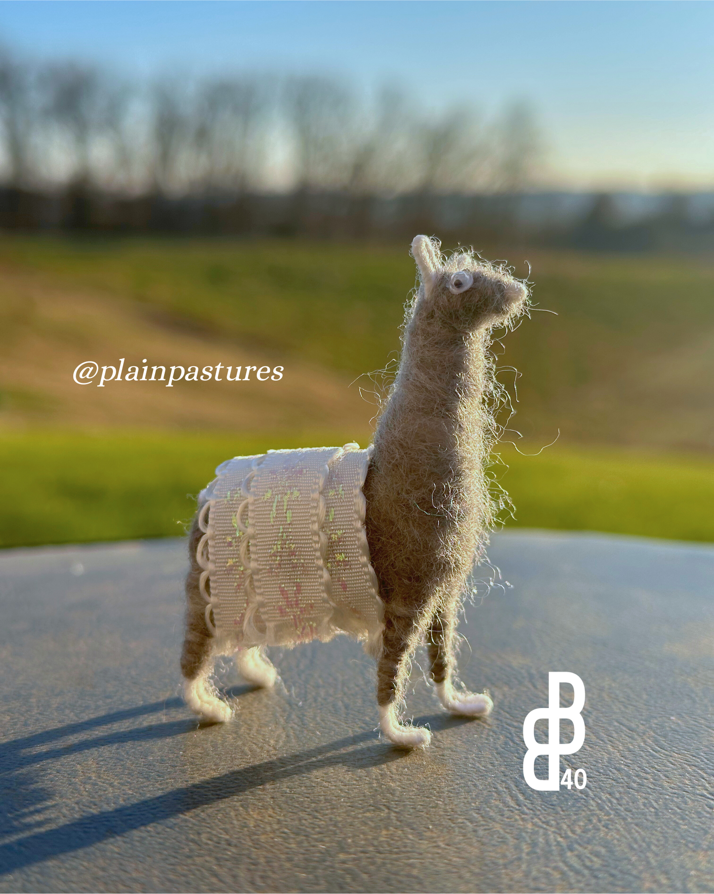 Little Llama w/ Blanket