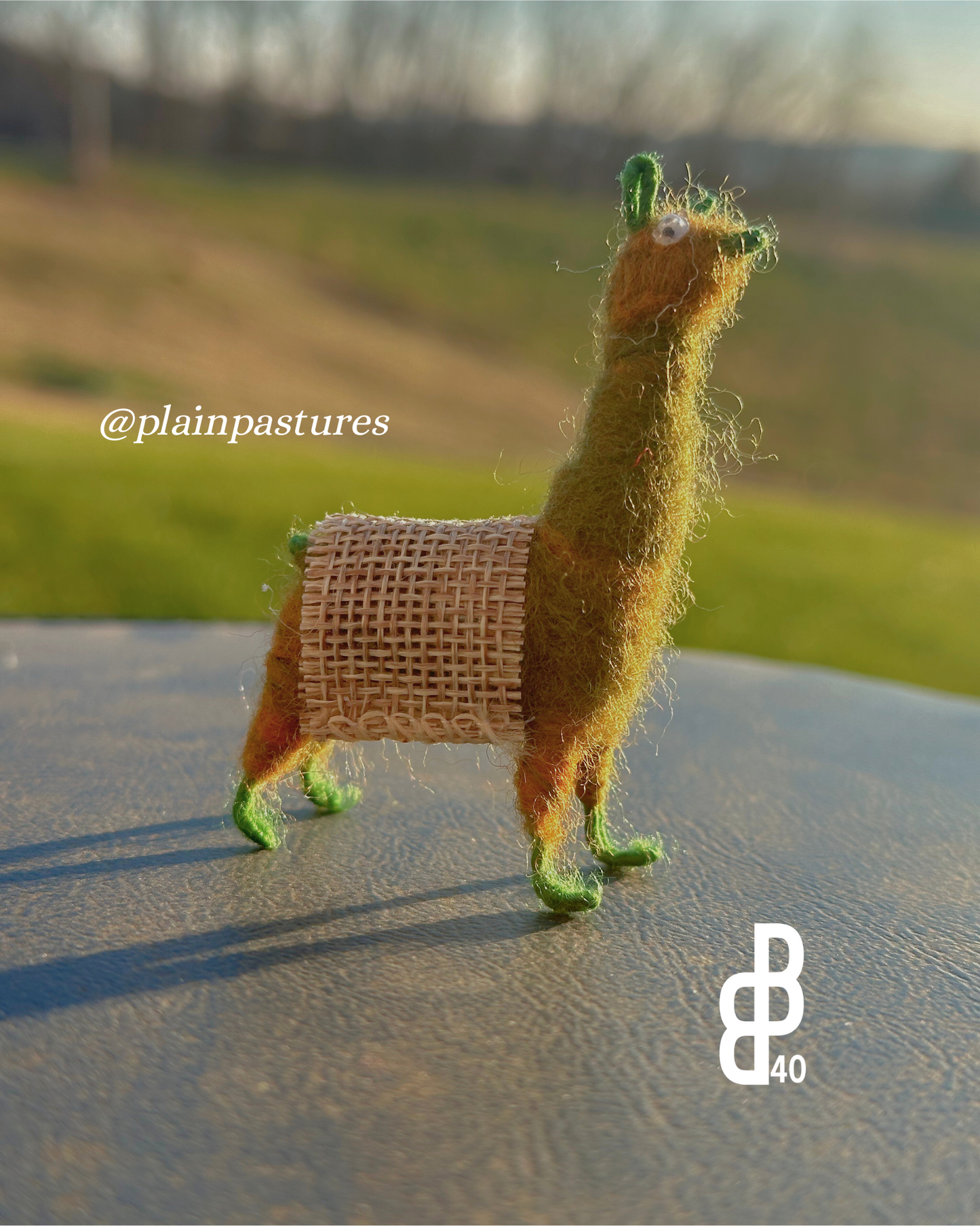 Little Llama w/ Blanket