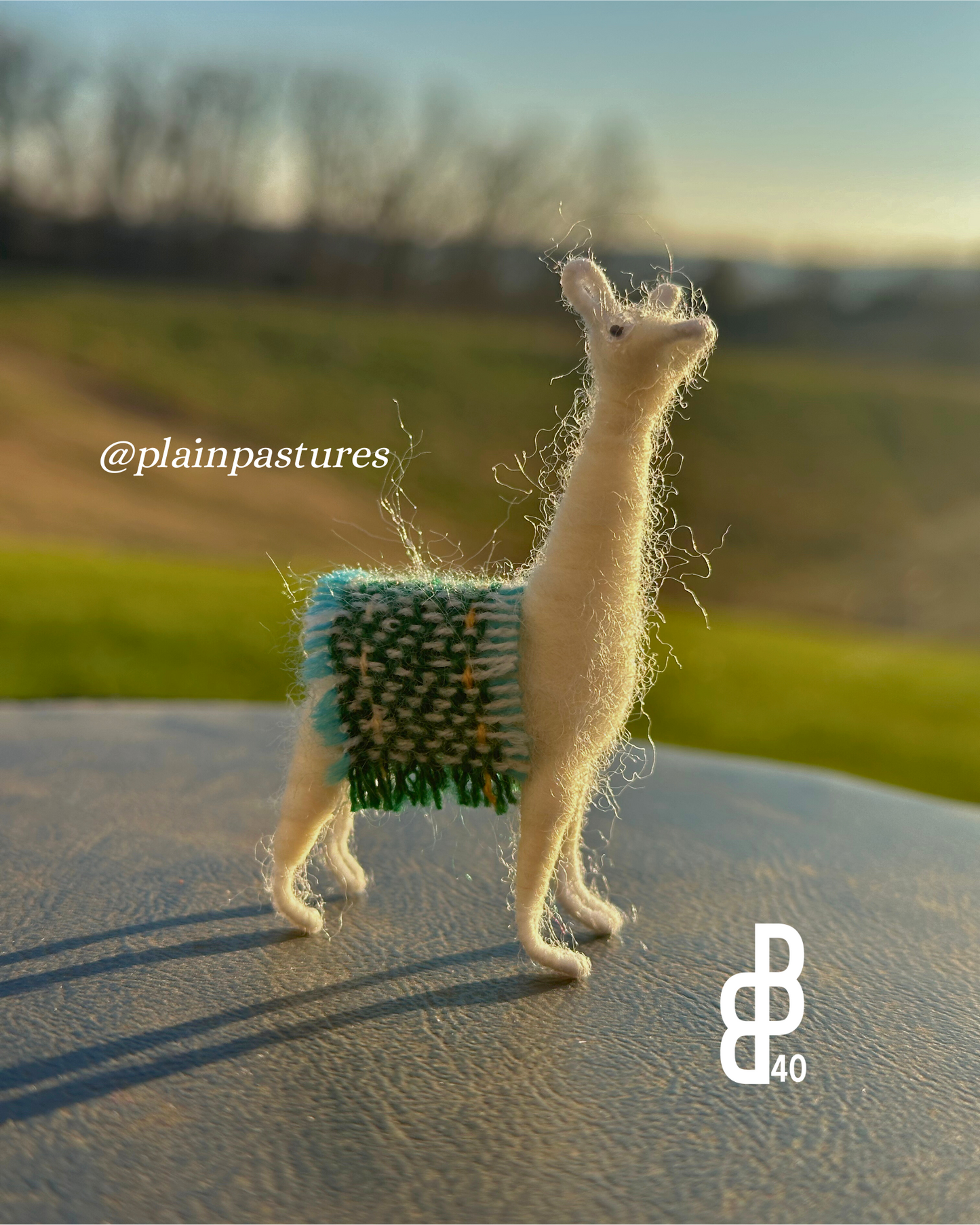 Little Llama w/ Blanket