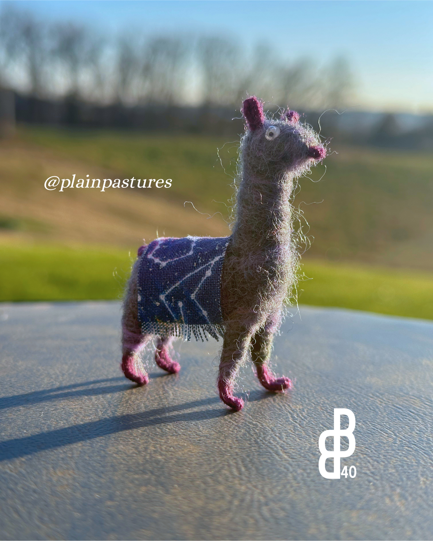 Little Llama w/ Blanket