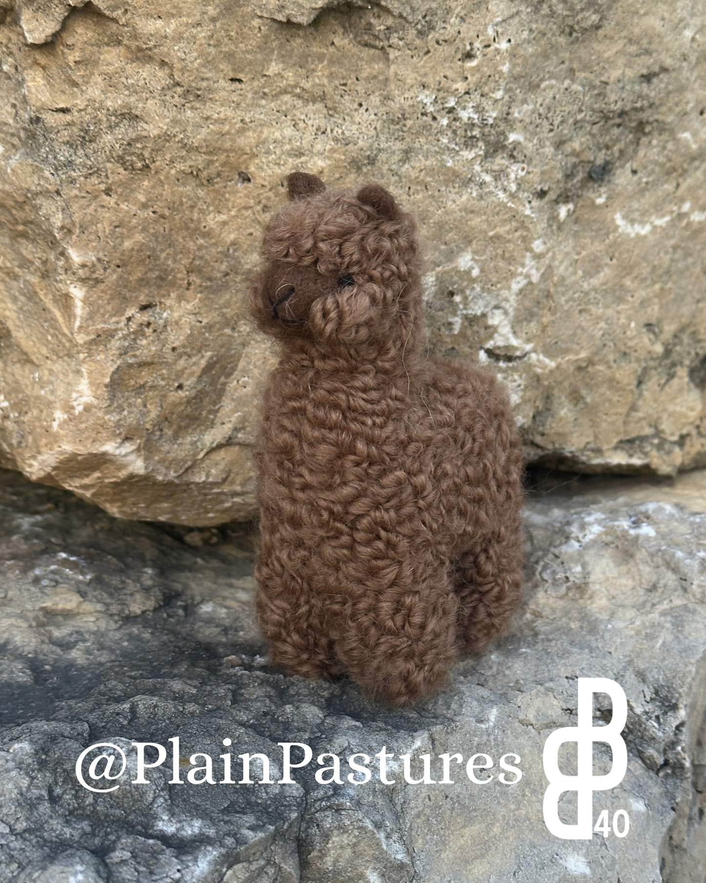 Needle Felted Baby Llamas