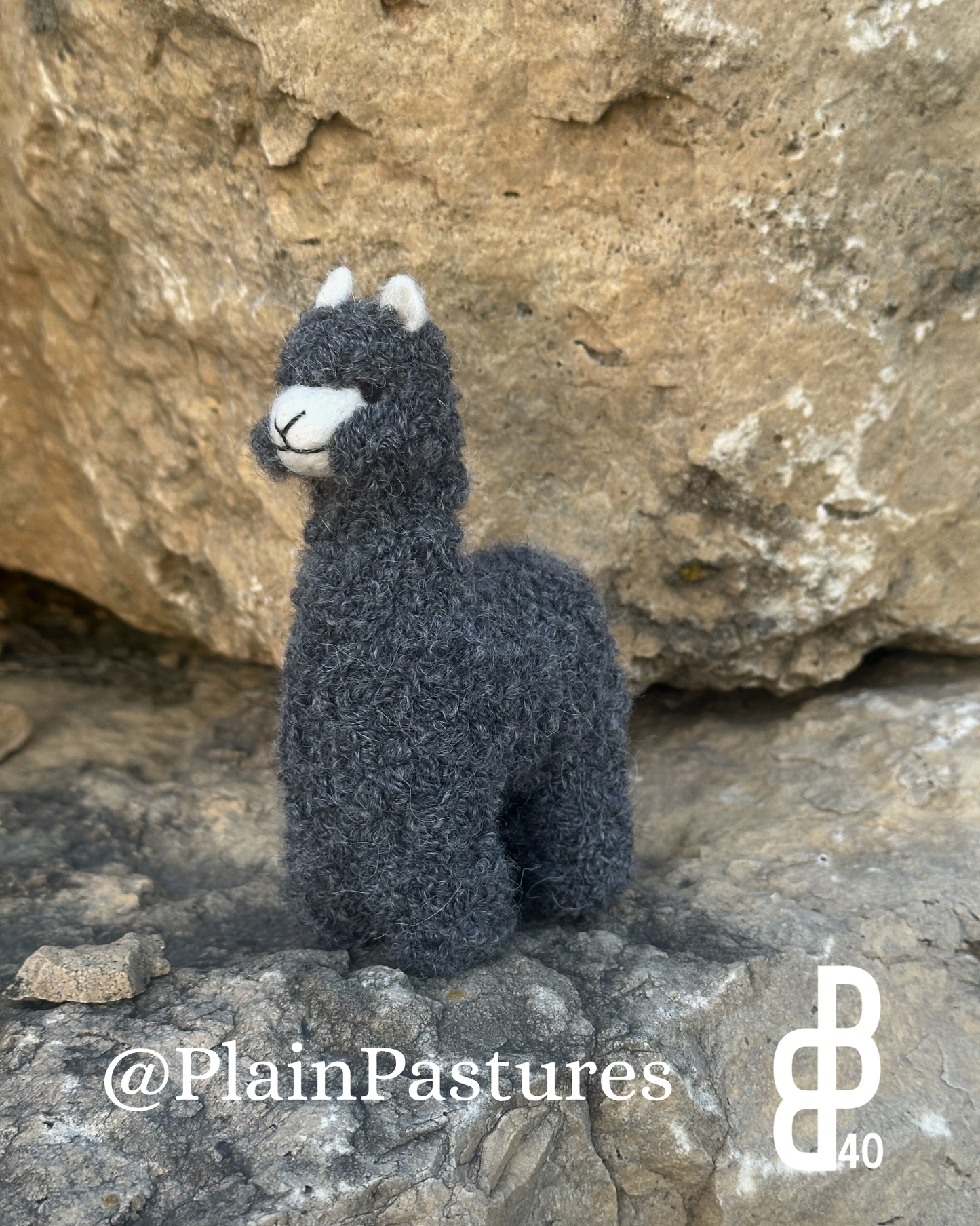 Needle Felted Baby Llamas